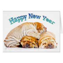 HAPPY NEW YEAR 2011 CARD