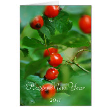 Happy New Year 2011 Card