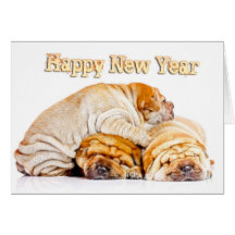 HAPPY NEW YEAR 2011 GREETING CARDS