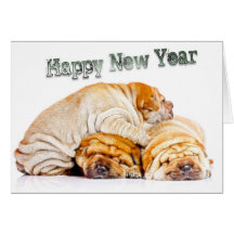 HAPPY NEW YEAR 2011 GREETING CARDS
