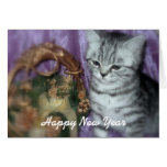 Happy New Year kitten card cards