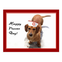 Happy Nurses Day Dachshund postcard