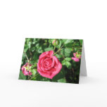 Happy Old Rose Card