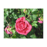 Happy Old Rose Post Card
