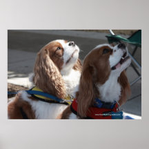 Happy Puppies Posters