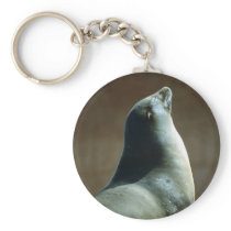 Happy Seal keychains