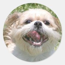 Happy Shih Tzu face Round Sticker
