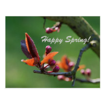 Happy Spring Card Postcards