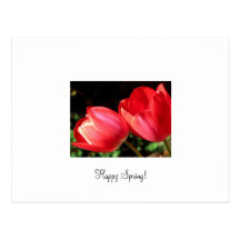 Happy Spring! Post Cards