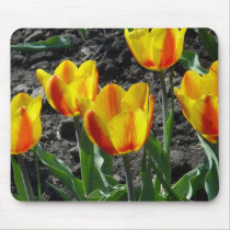 Happy spring time mousepads