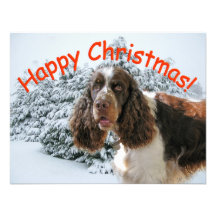 Happy Springer Xmas! Invitations