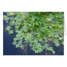 Happy St. Paddy's Clover Card