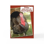 Happy Thanksgiving Cards