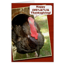 Happy Thanksgiving Card