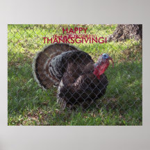 HAPPY THANKSGIVING!, (Eat a Burger) Poster