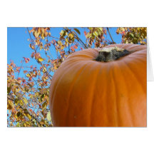 Happy Thanksgiving Greeting Cards