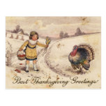 Happy Thanksgiving Greetings Postcards
