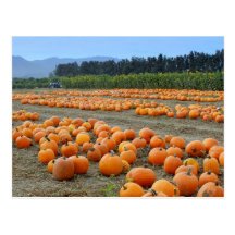 Happy Thanksgiving, Harvest, Fall Post Cards