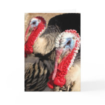 Happy Thanksgiving~ Kimberly P-Chadwick Greeting Card