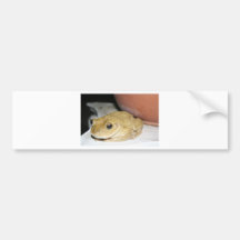 Happy Toad Bumper Sticker