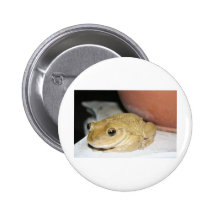 Happy Toad Pinback Button