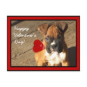 Happy Valentine's Boxer puppy postcard