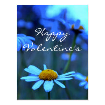 Happy Valentine's Day (Blue Marguerites) Post Card