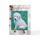 Happy Valentine's Day! Greeting Cards