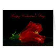 Happy Valentine's Day Cards