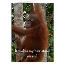Happy Valentine's Day Funny Hairdo Greeting Card