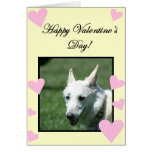 Happy Valentine's Day White German Shepherd card