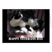 Happy Veterans' Day Greeting Card