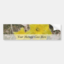 Happy Yellow Daffodils Bumper Stickers