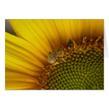 Hard at work greeting card