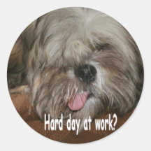 Hard day at work puppy dog shih tzu stickers