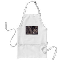 hard look aprons