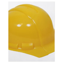 HardHat062509 Flyer
