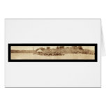 Harding in Plymouth MA Photo 1921 cards