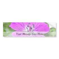 Hardy Geranium In Bloom Bumper Stickers