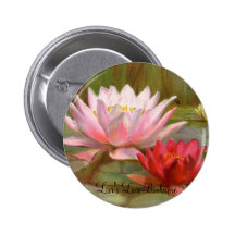 Hardy Water Lilies Pins