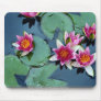 Hardy water lily, red, Nymphaea laydekeri Mousepad