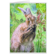 Hare and Foxglove Design 3 Greeting Cards