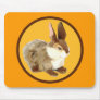HARE JACKRABBIT BUNNY MOUSE MATS