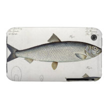 Harengs (Clupea Harengus) (fig. 1) et esprot (Clup Coque iPhone 3 Case-Mate
