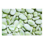 Haricots de fève frais photos sur toile
