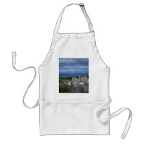 Harlech Castle and village, Gwynedd, northern Wale Apron