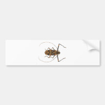 Harlequin Beetle Acrocinus Longimanus Bumper Sticker