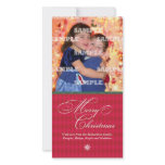 Harlequin Crimson Christmas Photo Card photo cards