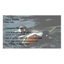 Harlequin Duck Business Card Template