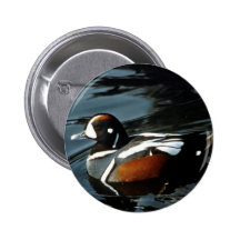 Harlequin Duck Pins